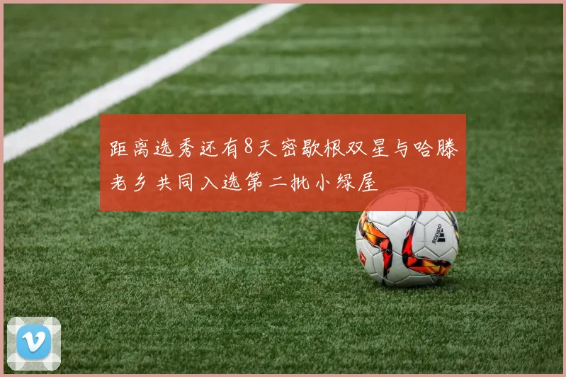距离选秀还有8天密歇根双星与哈滕老乡共同入选第二批小绿屋